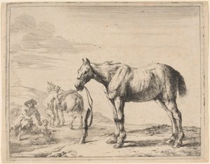 En hest bundet til en stolpe