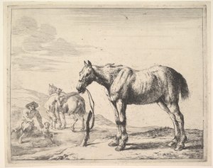 Hest bundet til en stolpe, drejet til venstre.