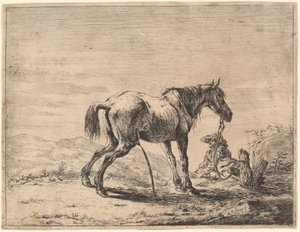 Opdrættende hest nær en stald af Dirck Stoop