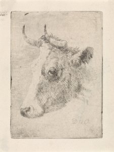 Hovedet af en tyr af Dirk van Oosterhoudt