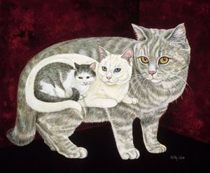 russisk kat af Ditz