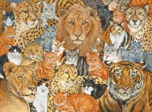 Semi Wild Cat Spread af Ditz