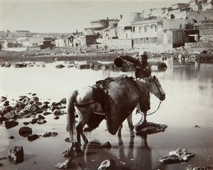 En Vandingsplads, 1880