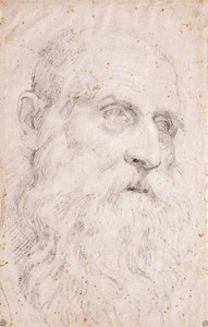 Hovedet af Saint Hieronymus af Domenichino