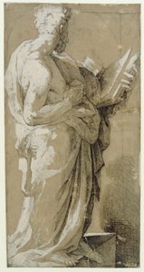 Apostel af Domenico Beccafumi