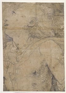 Ung mand, der ser op (halvfigur), fragment af en karton af Domenico Beccafumi
