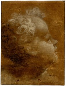 Beccafumi - Hoved af et barn, der kigger op, i profil til højre Penseltegning i gråbrun og hvid olie, på brunt præpareret papir, med indrykkede linjer, 1528 (ca.) af Domenico Beccafumi