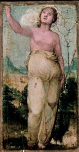 Kvindefigur. Maleri af Domenico Beccafumi (1486-1551). Siena, konservatorium af Domenico Beccafumi