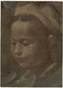 Hovedet af en ung kvinde af Domenico Beccafumi