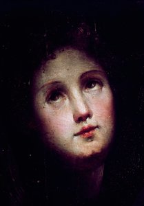 Kristi nedstigning til limbo. Detalje af en ung mands ansigt kaster sig ud i mørket (mørket) og stirrer mod himlen. Maleri af Domenico Beccafumi (1486-1551)