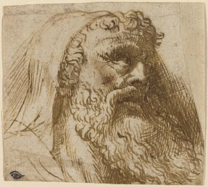 Hoved af en mand af Domenico Campagnola