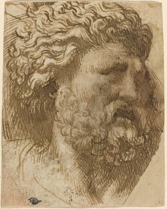 Hoved af en mand af Domenico Campagnola