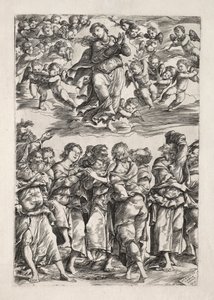 Jomfruens antagelse af Domenico Campagnola