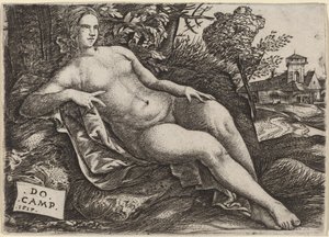 Venus liggende i et landskab