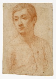 The Head of a Youth, ca. 1600-25 (rødt kridt på lagt papir) af Domenico Cresti
