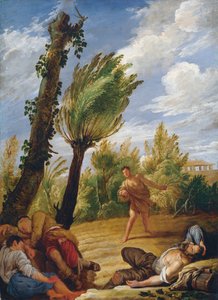 Lignelsen om hveden og ukrudtet, 1620