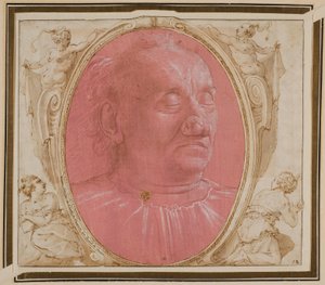 Hovedet af en gammel mand af Domenico Ghirlandaio