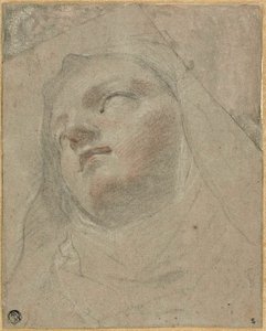 Leder af en dominikansk nonne: Study for the Ecstasy of Saint Dominic