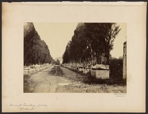 [Den gamle kirkegård i Arles, "Alyscamps"]. af Dominique Roman