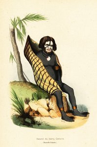 Hjemmehørende i Carteret Bay, Nui Allan, New Ireland, Papua Ny Guinea af Doms Doms