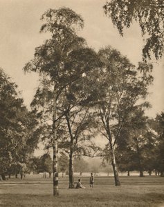 The Lace-Work of the Leaves: A Summer Morning in Hyde Park, c1935. af Donald McLeish