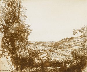 Olivenlunde af Donald Shaw MacLaughlan