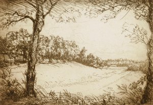 Sommermorgen i Tennessee af Donald Shaw MacLaughlan
