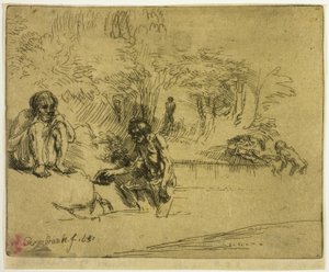 Badegæsterne af Donald Shaw MacLaughlan