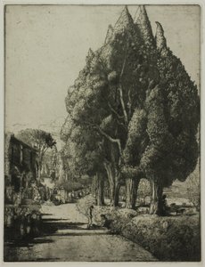 Cypreslunden af Donald Shaw MacLaughlan