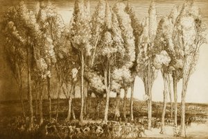 Forårets dans af Donald Shaw MacLaughlan