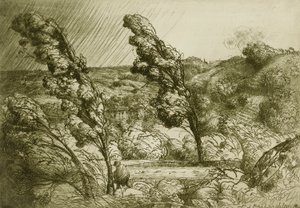 Stormen af Donald Shaw MacLaughlan