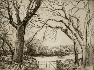 Tragenna Wood af Donald Shaw MacLaughlan