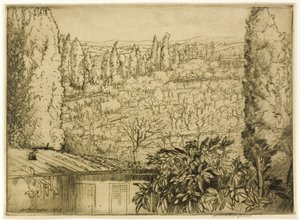 Toscana af Donald Shaw MacLaughlan