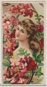 Azalea: Attraction, fra serien Floral Beauties and Language of Flowers N75 for Duke..., 1892. af Donaldson Brothers