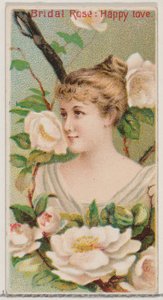 Bridal Rose: Happy Love, fra serien Floral Beauties and Language of Flowers N75 for..., 1892.