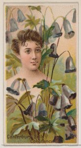 Canterbury Bells: Constancy, fra serien Floral Beauties and Language of Flowers N75..., 1892.