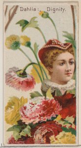 Dahlia: Dignity, fra serien Floral Beauties and Language of Flowers N75 for Duke br..., 1892.