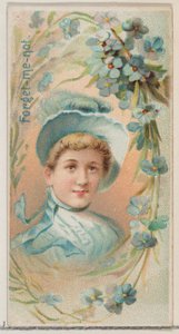 Forget-Me-Not, fra serien Floral Beauties and Language of Flowers N75 for Duke bran..., 1892. af Donaldson Brothers