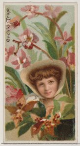Orchid: Trust, fra serien Floral Beauties and Language of Flowers N75 for Duke bran..., 1892.