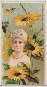 Sunflower: Houghtiness, fra serien Floral Beauties and Language of Flowers N75 for ..., 1892.