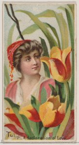 Tulip: A Declaration of Love, fra serien Floral Beauties and Language of Flowers N75..., 1892.