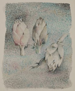 Artiskokker af Donatella Merlo