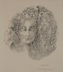Malakologien af Donatella Merlo
