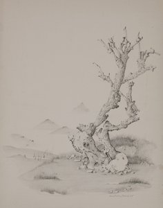 Bagagerummet af Donatella Merlo
