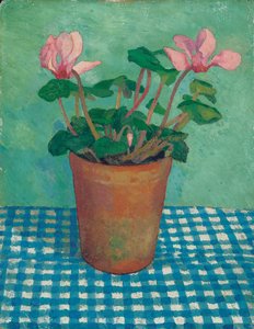Cyclamen i en gryde (olie om bord)