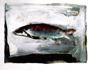 Fisk fra mørkt vand af Doris Schmitz