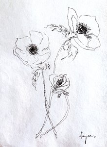 Skitse af en delikat blomst af Dorothy Fagan