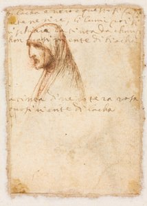 Bust-længde profil af en gammel kvinde verso, ca. 1521. af Dosso Dossi