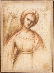 Lady in a Landscape recto, Bust-Length Profile of an Old Woman verso, ca. 1521. af Dosso Dossi