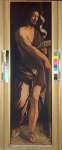 Johannes Døberen af Dosso Dossi